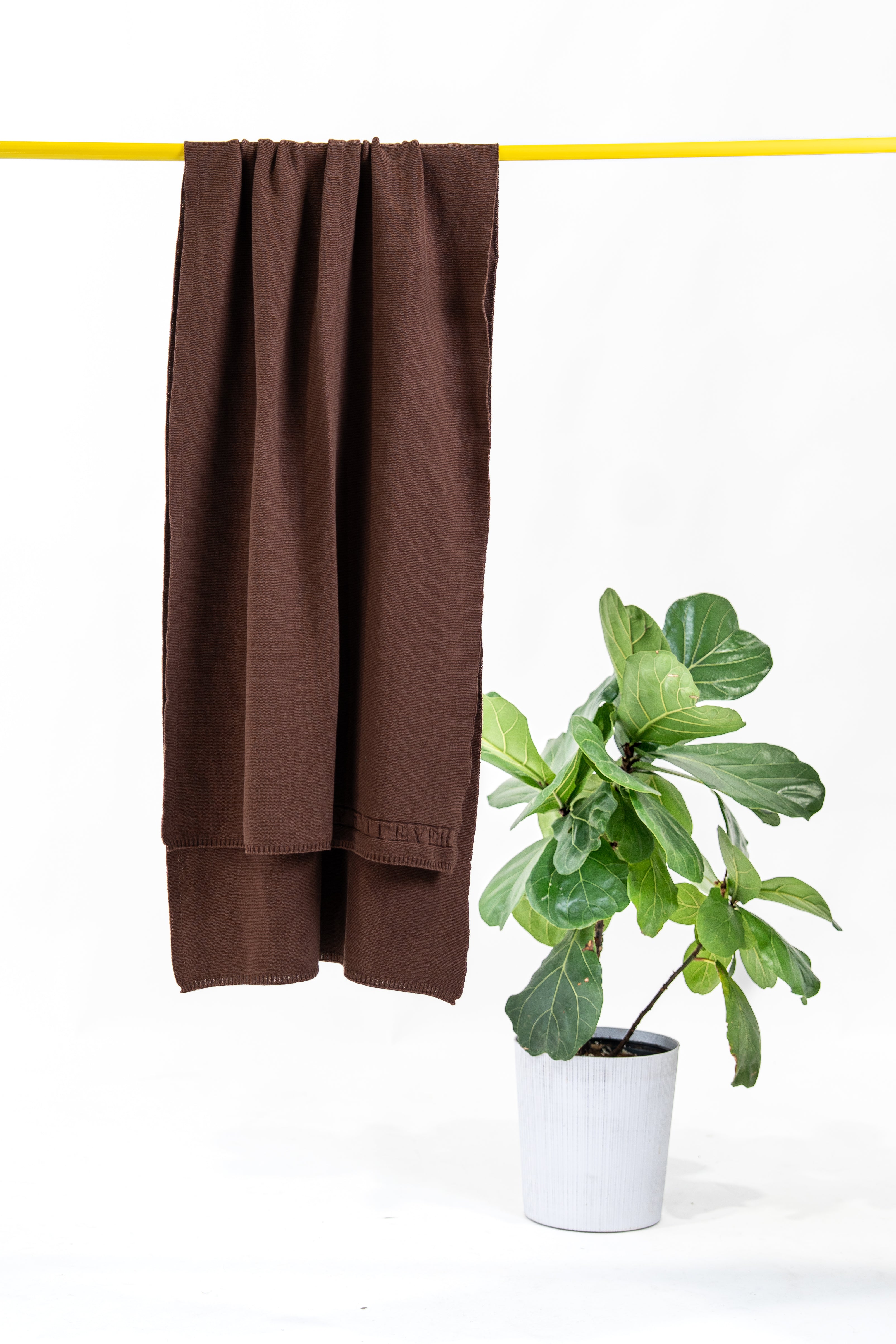 Scarf in Brown