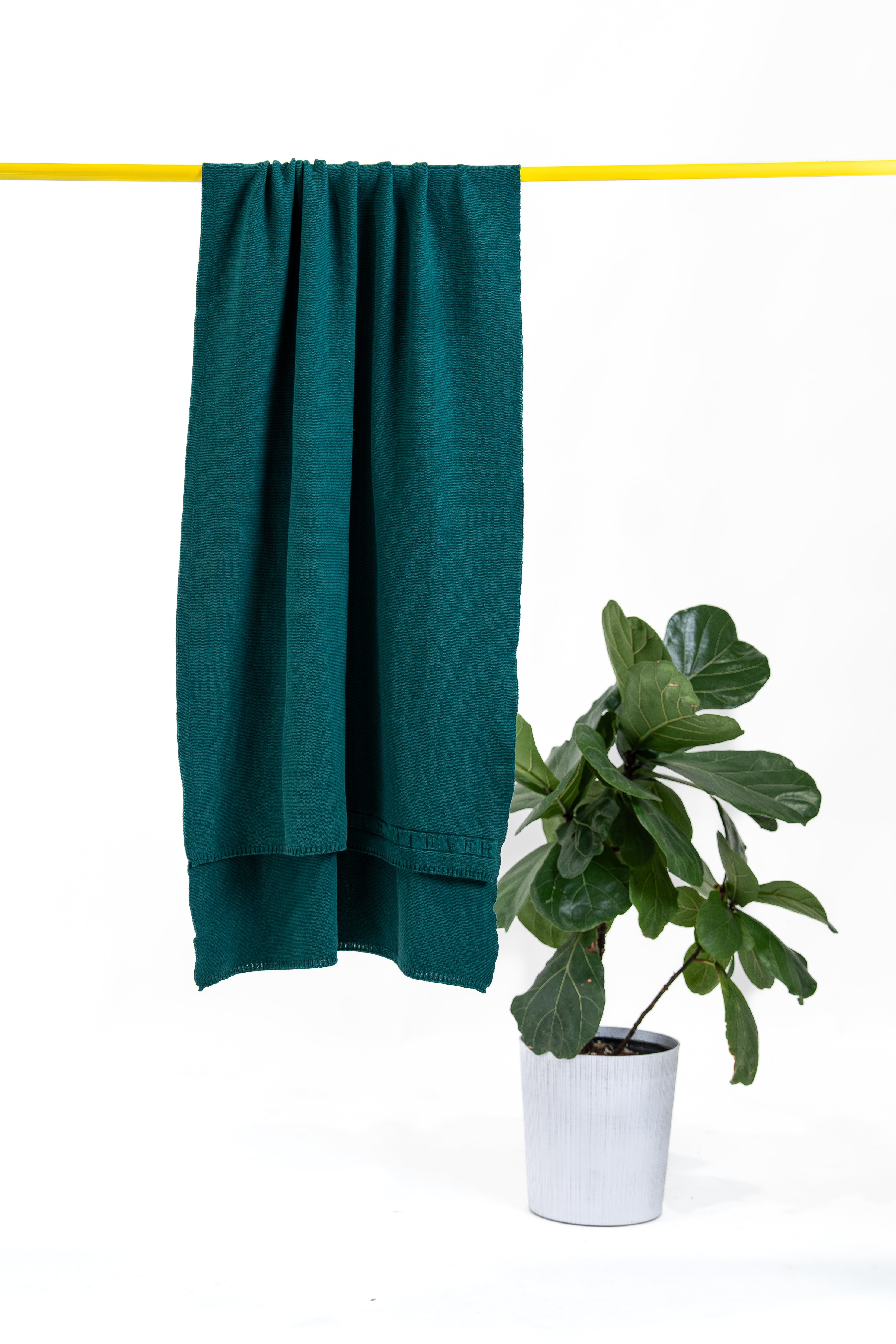 Scarf in Evergreen